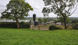 Marginal litres – profit or loss with John Roche